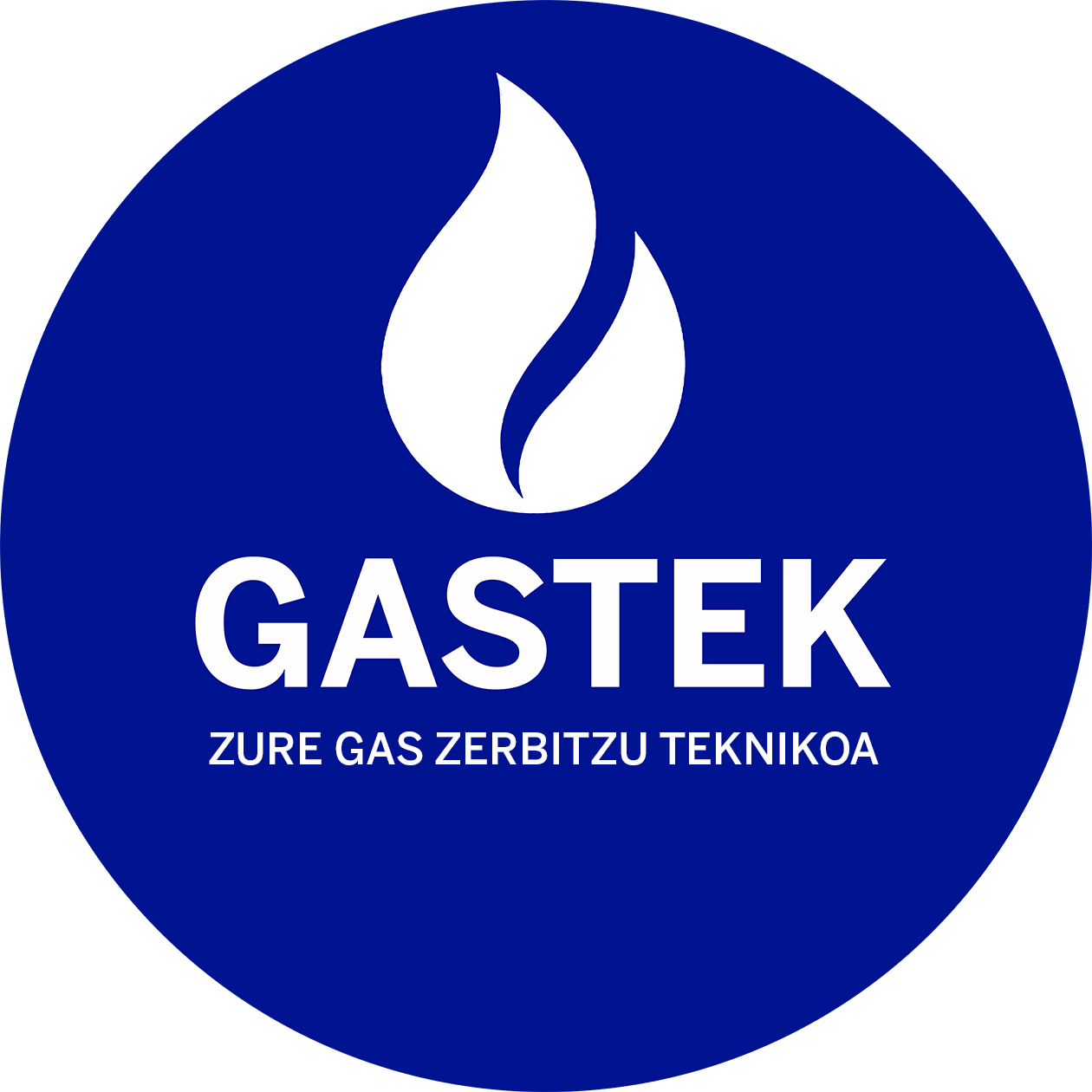 zure gas zerbitzu teknikoa